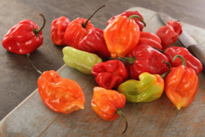 How To Grow Scotch Bonnet Peppers – Seed to Harvest - 2024 Guide ...