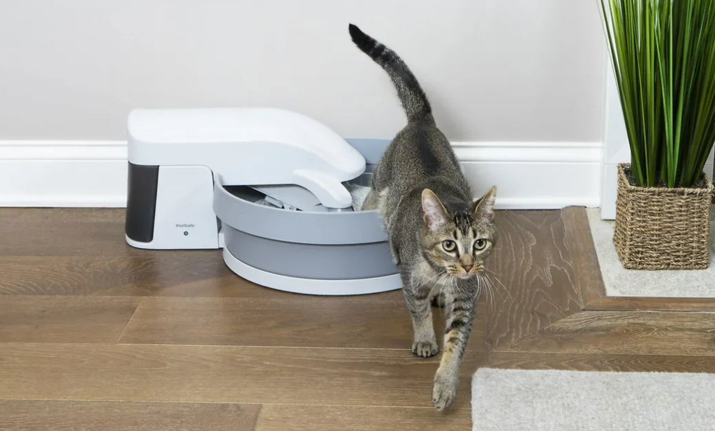 Are Automatic Selfcleaning Litter Boxes Worth the Extra Money 2024