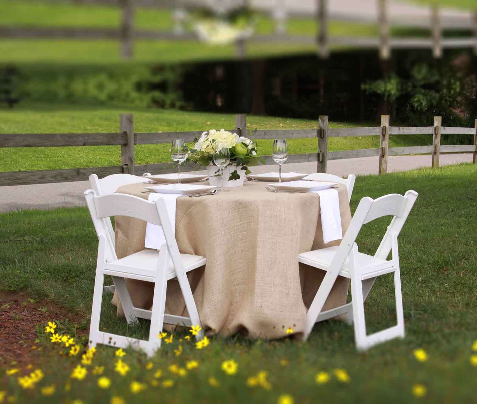 5 Tips for Using Tablecloths & Placemats The Right Way Erica O'Brien