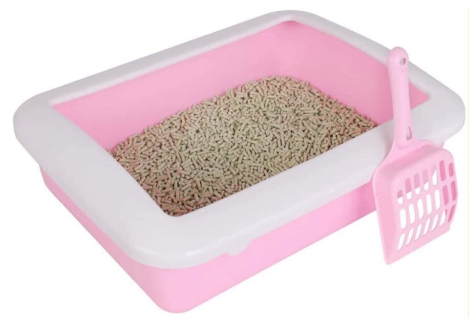 A pink box with cat litter